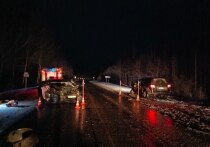 Два человека стали жертвами ДТП на федеральной автомобильной дороге А-122 в Окуловском районе, сообщила пресс-служба Управления Госавтоинспекции УМВД РФ по Новгородской области