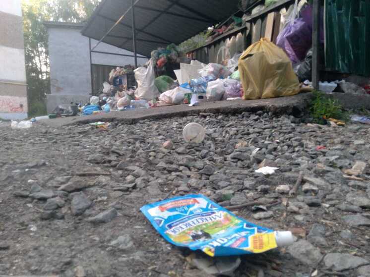 В Новоуральске возникли проблемы с вывозом мусора