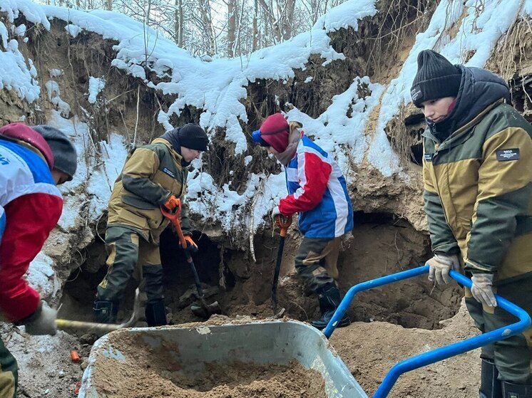 В Ломоносовском районе молодежный отряд «Сокол» помог населению