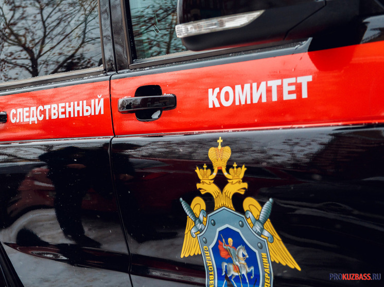 Бастрыкин взял на контроль случай падения снежной глыбы на ребенка в Кузбассе