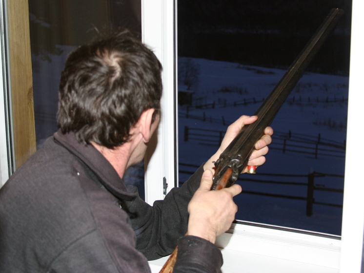 От нашествия волков этой зимой серьезно страдают жители башкирского Зауралья