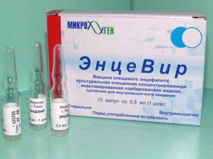 В Ярославской области нет вакцин от клещевого энцефалита
