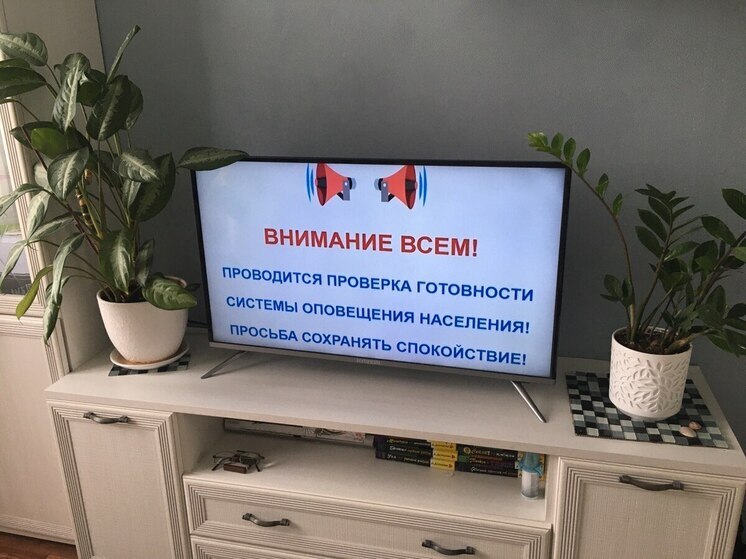 Воронежцам напомнили о работе сирен в среду, 5 марта
