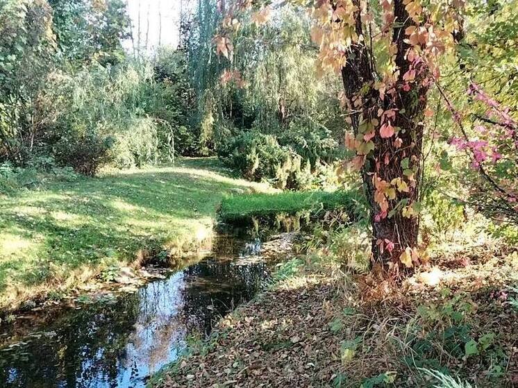 Берег реки в Калужской области вернули людям
