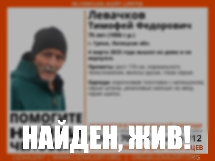 Стала известна судьба пропавшего в Липецкой области 75-летнего мужчины