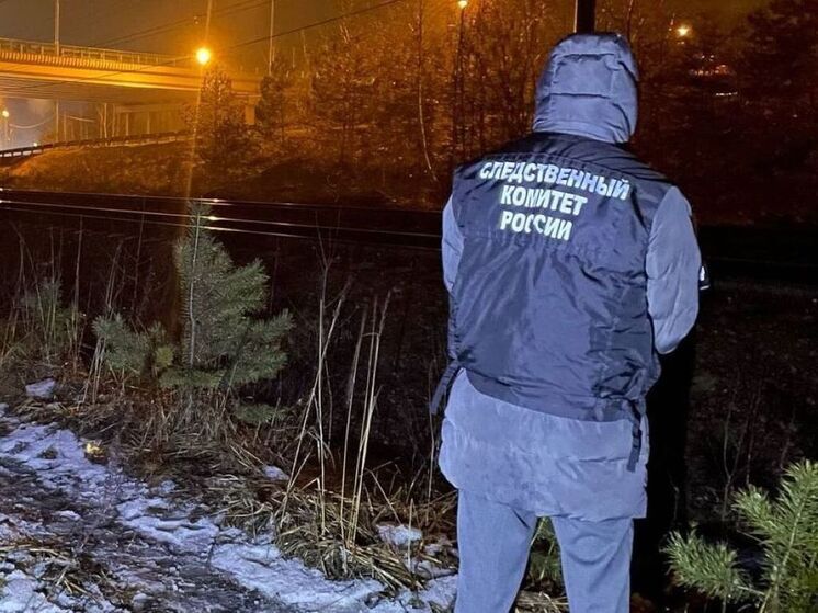 Двое мужчин погибли под колесами поезда на Горьковском направлении МЖД