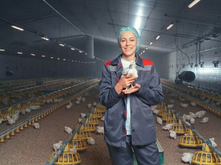 Калужскую курицу с удовольствием едят в Китае