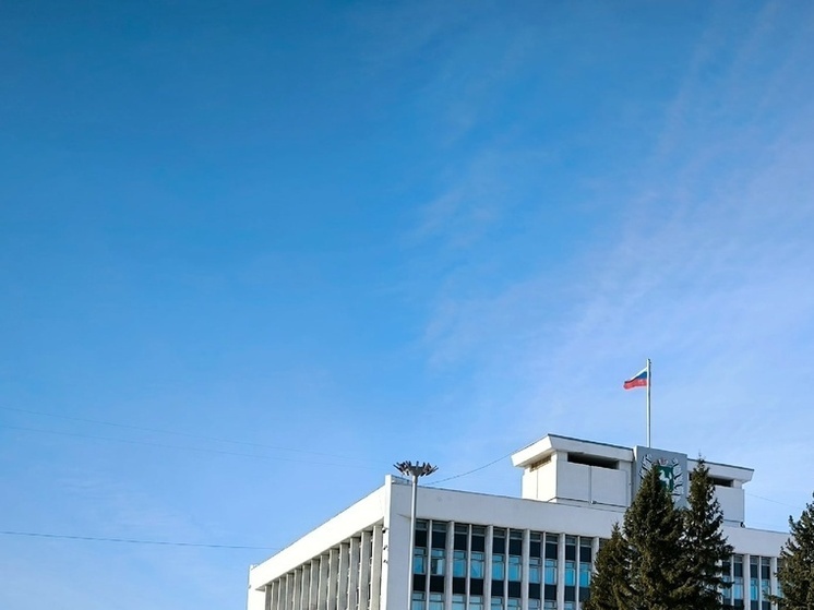 Выброшенная у томской мэрии собака была отравлена