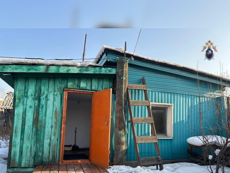 В Кызылском районе мужчине предъявлено обвинение в совершении убийства свояченицы