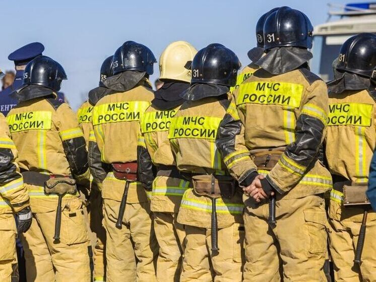 Несколько зданий выгорело во время пожаров в южноуральском селе