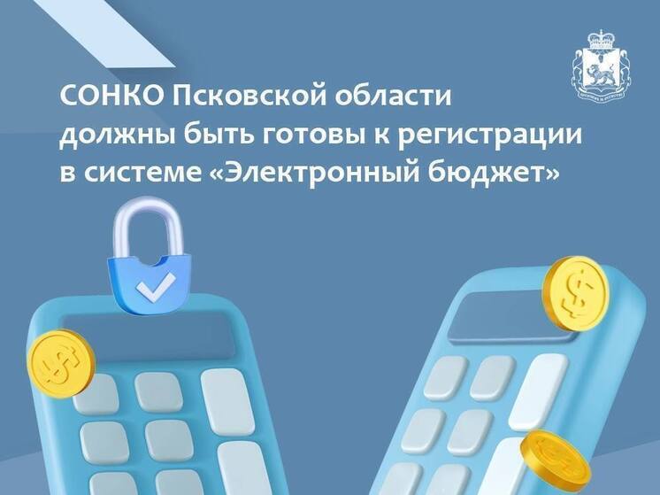 Псковские НКО переходят на "Электронный бюджет" для получения грантов