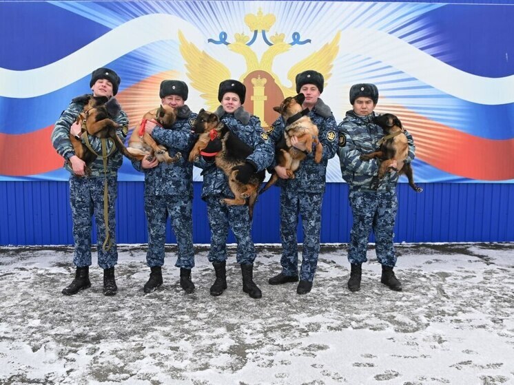 В Оренбурге прибыло мохнатое пополнение