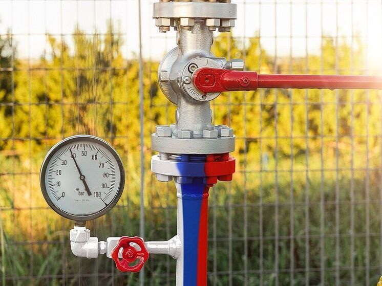 Reuters: поставки российской нефти в Чехию остановились из-за проблем с оплатой