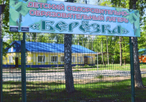 Региональный центр закупок проводит открытый электронный тендер на проведение работ по благоустройству территории ДОЛ «Берёзка»