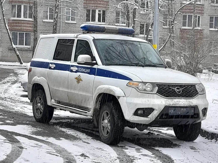 Полиция задержала 17-летнюю опытную воровку за кражу «Айфона» в Тосно