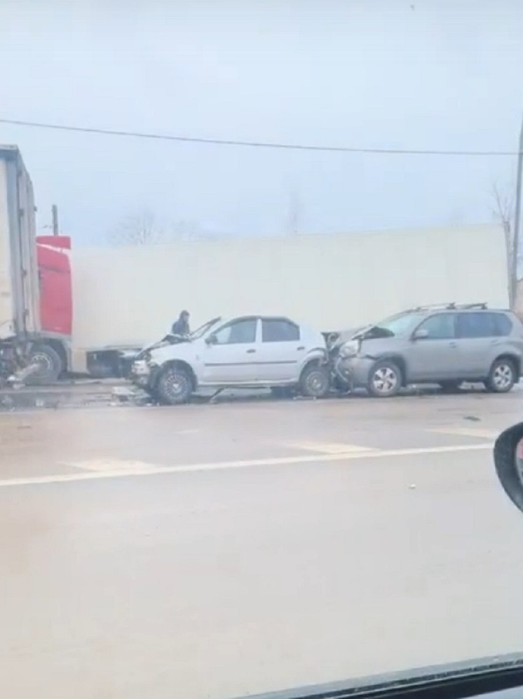 Появилось видео с места массового ДТП на М-10 в Тверской области