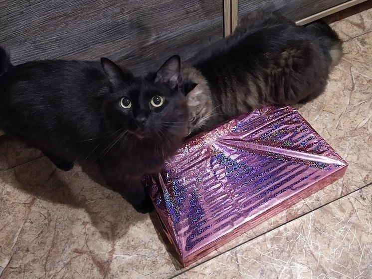 Чего ждут женщины на 8 Марта: подарки мечты и реальные планы мужчин в Приморье