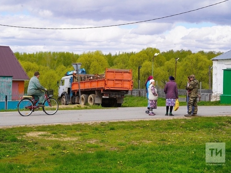 В Татарстане выплаты получили 14 тысяч сельчанок, родивших детей до 25 лет