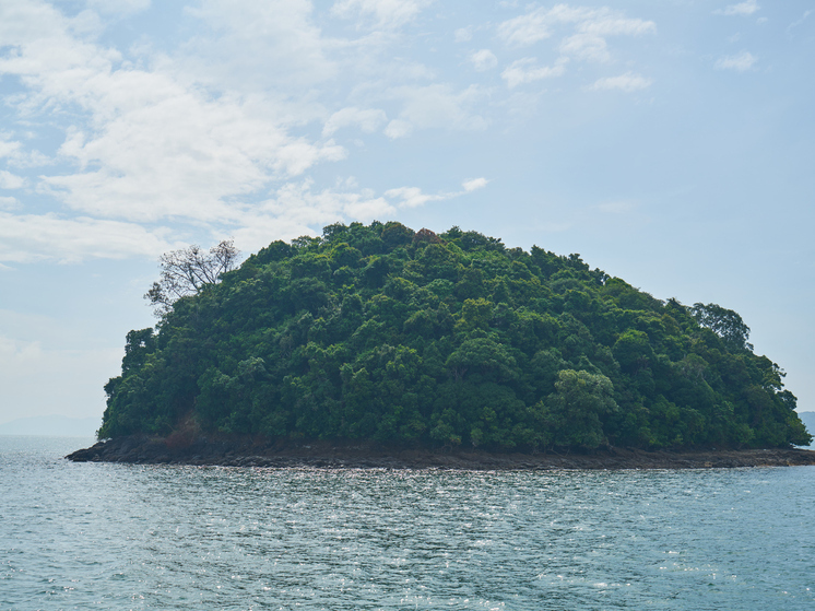 Запретная земля: ученые раскрыли тайну острова, куда не ступала нога человека