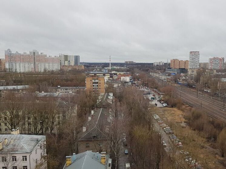 Снег полностью исчезнет в Подмосковье к выходным