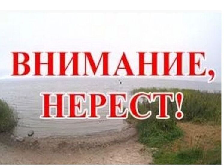 В водоемах Брянской области установлены нерестовые запреты на рыбную ловлю