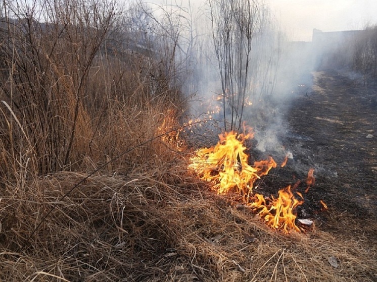 Приморцам напомнили, как защитить огород от подтоплений и пожаров: памятка