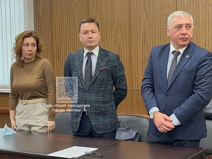 Янину Копайгородскую предлагают заключить под стражу из-за давления на свидетеля