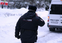 Ловкая оперативная комбинация петербургских сыщиков позволила сегодня арестовать очередного любителя детской порнографии