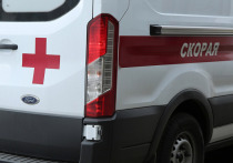 Смертельное ДТП в Ступинском городском округе, парализовавшее с утра 6 марта движение на участке трассы М-4 «Дон», дополняется новыми деталями