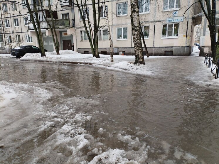 В Ленобласти 7 марта будет дождь и до +8 градусов