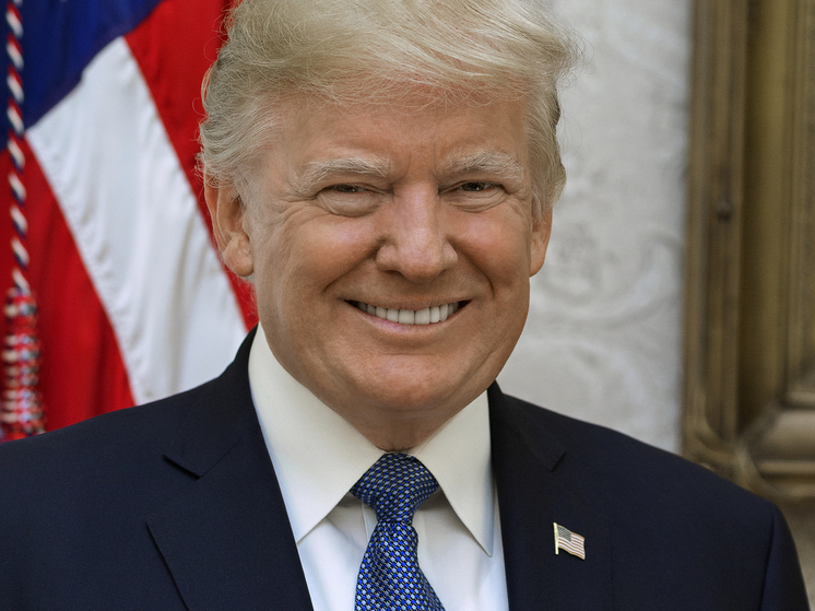 Эксперт Дизен предположил, что Трамп может отстранить Зеленского от власти