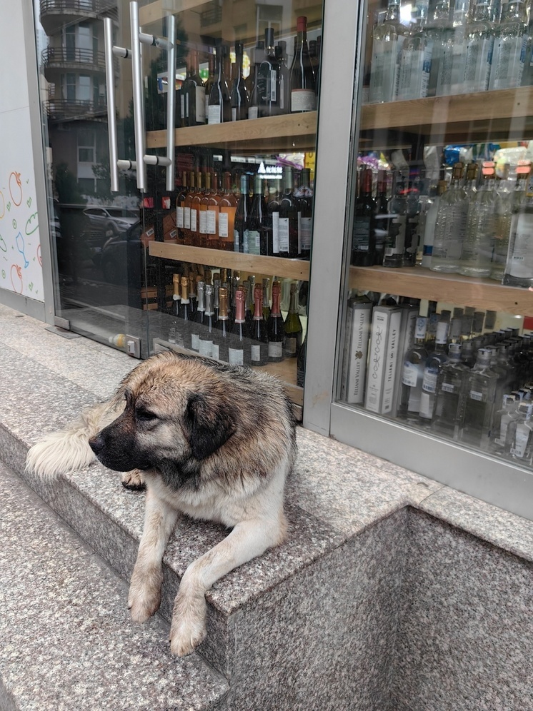 В Грузии лепят столы и стулья из снега и разыгрывают за ними шахматные партии