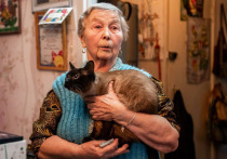 Любови Владимировне Сенюкевич, коренной мурманчанке и ребенку войны, вручили памятную медаль «80 лет разгрома немецко-фашистских войск в Советском Заполярье», учрежденную губернатором Мурманской области. Об этом пишет глава города Юрий Сердечкин в своем телеграм-канале.