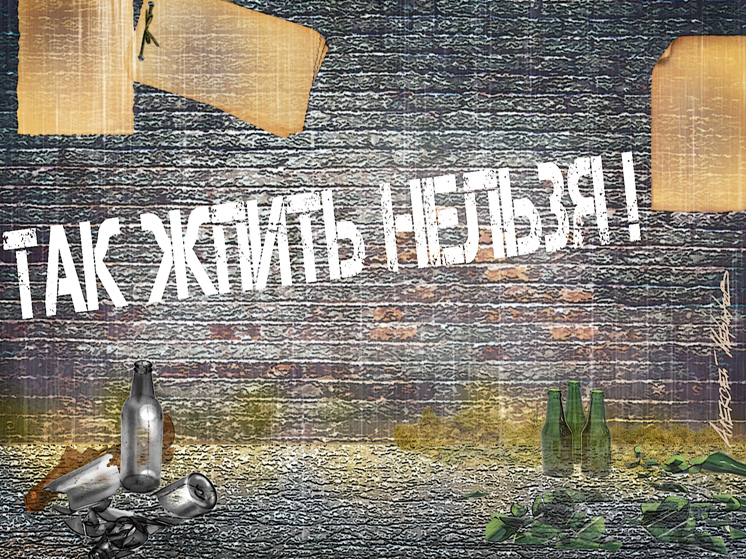 Коллекционер жизни