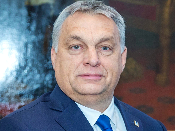 Орбан: европейские лидеры на саммите выясняли, что в голове у Зеленского