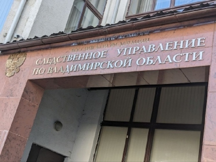 Три парня из Гусь-Хрустального получили по 5 лет за 20 закладок