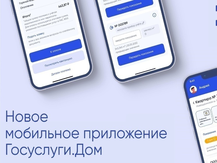 Костромские технологии: частные домовладельцы получили доступ к приложению «Госуслуги Дом»