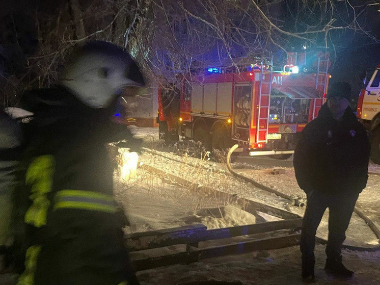 На пожаре в пятиэтажке Рубцовска спасли людей
