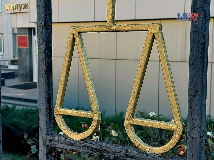 В Калужской области осудили рецидивистку, укравшую телефон у спящего