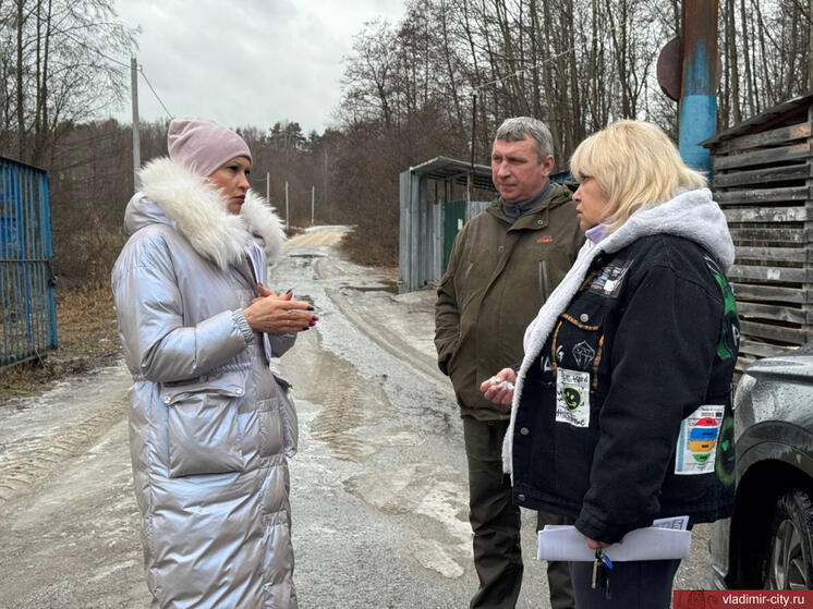 Во Владимире идут мероприятия по профилактике ЧС в период половодья