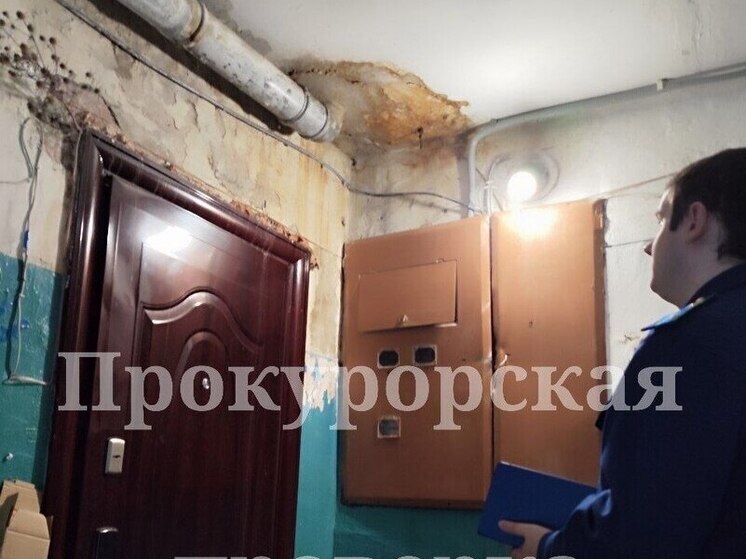 Прокуратура организовала проверку инцидента с залитой лестницей в Богородицке