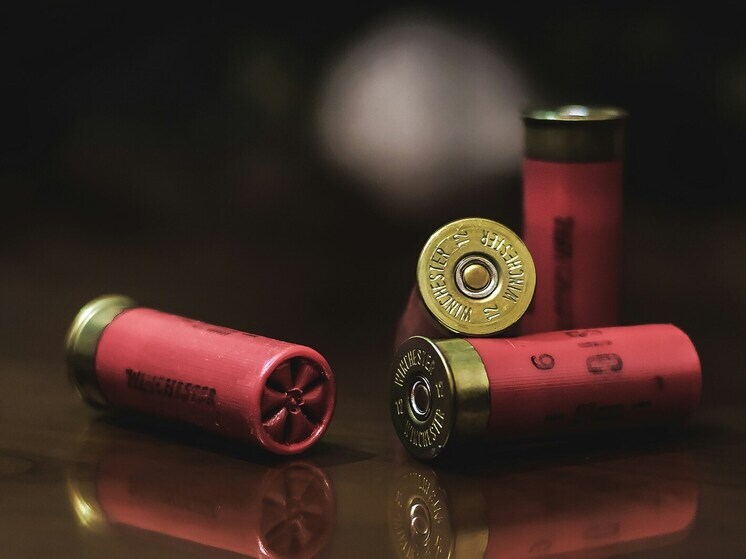 Житель Шахтерска незаконно хранил оружие и боеприпасы