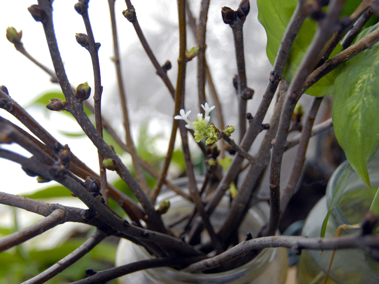 Минувшая ночь в Подмосковье побила все температурные рекорды тепла