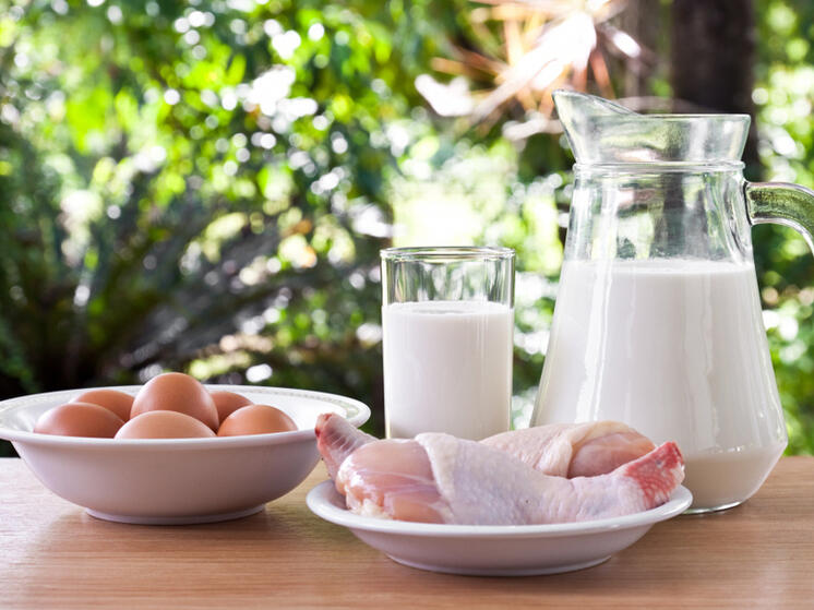 Кировские соцучреждения не контролируют безопасность продуктов питания