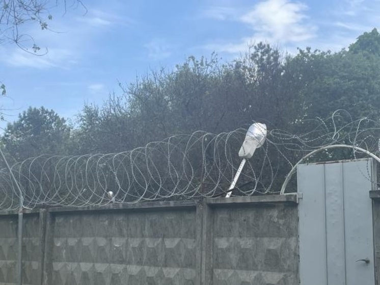 В Ростовской области рекомендовали к помилованию трёх женщин, осуждённых за кражу