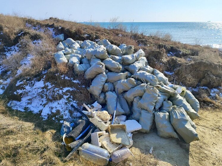 Петербургские волонтеры неделю убирали мазут в Краснодарском крае