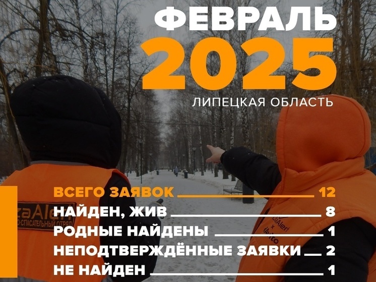 В феврале в Липецкой области волонтеры искали 12 пропавший человек