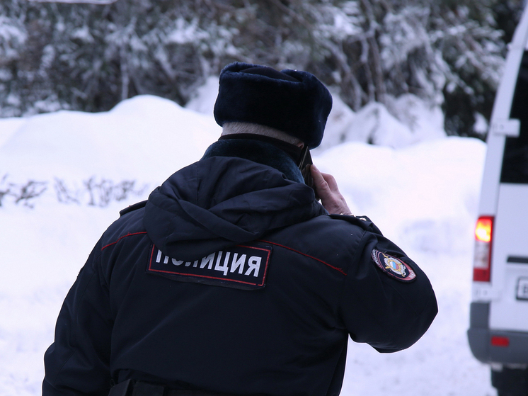 Следствие отрабатывает несколько версий мотивов убийства коммерсанта в Новой Москве