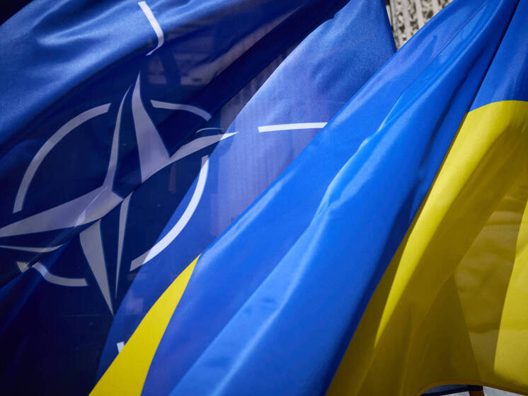 Сенатор Косачев: распространение на Украину пятой статьи НАТО неприемлемо