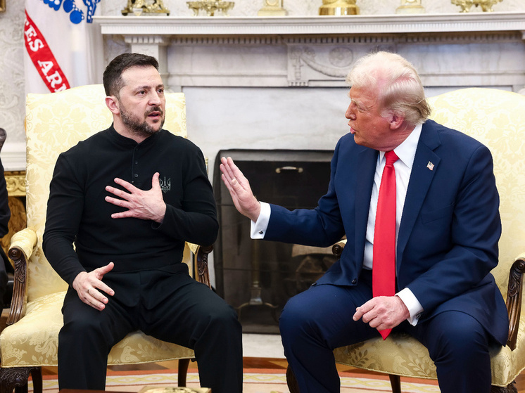 План Трампа по редкоземелью Украины таит огромную опасность для РФ